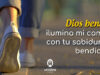 Oración para que Dios ilumine mi camino