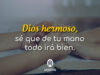 Oración para que todo salga bien