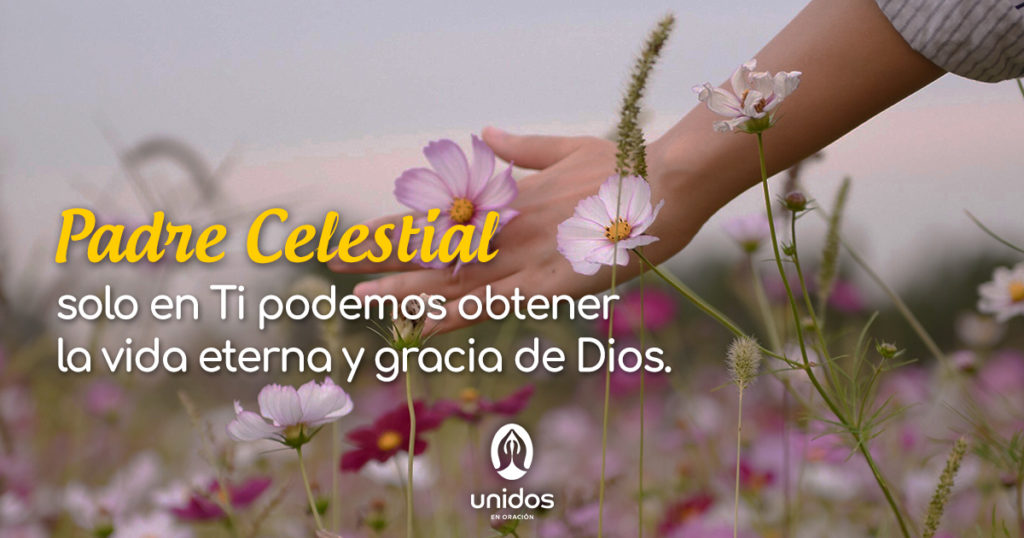 Oración para obtener la vida eterna y la gracia de Dios