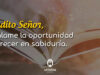 Oración para pedir sabiduría