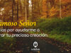 Oración para valorar la creación de Dios