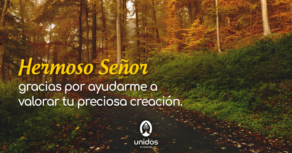 Oración para valorar la creación de Dios