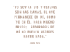 «Yo soy la vid y ustedes son las ramas. El que permanece en mí, como yo en él, dará mucho fruto; separados de mí no pueden ustedes hacer nada.»