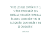 «Pero los que confían en el Señor renovarán sus fuerzas; volarán como las águilas: correrán y no se fatigarán, caminarán y no se cansarán.»