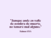 «Aunque ande en valle de sombra de muerte, no temeré mal alguno.»