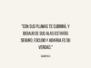 «Con sus plumas te cubrirá, y debajo de sus alas estarás seguro; escudo y adarga es su verdad.»