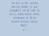 «Yo soy la vid, ustedes son las ramas. El que permanece en mí, como yo en él, dará mucho fruto; separados de mí no pueden ustedes hacer nada.»