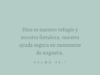 Dios es nuestro refugio y nuestra fortaleza, nuestra ayuda segura en momentos de angustia.