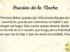 VIDEO: Oración de la noche para el 2 de Febrero del 2025
