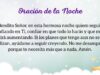 VIDEO: Oración de la noche para el 12 de Abril del 2025