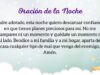 VIDEO: Oración de la noche para el 29 de Abril del 2025
